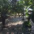  Land for sale in Centro, Tabasco, Centro, Tabasco
