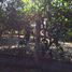  Land for sale in Centro, Tabasco, Centro, Tabasco