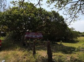  Grundstück zu verkaufen in Alvarado, Veracruz, Alvarado
