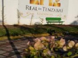  Terreno (Parcela) en venta en Tecozautla, Hidalgo, Tecozautla