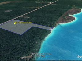  Grundstück zu verkaufen in Othon P Blanco, Quintana Roo, Othon P Blanco