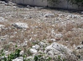  Grundstück zu verkaufen in Conkal, Yucatan, Conkal