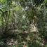  Land for sale in Valladolid, Yucatan, Valladolid