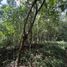  Land for sale in Valladolid, Yucatan, Valladolid