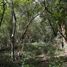  Land for sale in Valladolid, Yucatan, Valladolid