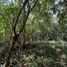  Land for sale in Valladolid, Yucatan, Valladolid