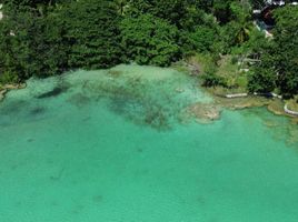  Terreno (Parcela) en venta en Othon P Blanco, Quintana Roo, Othon P Blanco