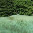  Terreno (Parcela) en venta en Othon P Blanco, Quintana Roo, Othon P Blanco