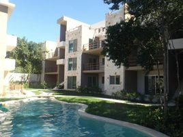 Estudio Casa en venta en Cozumel, Quintana Roo, Cozumel, Quintana Roo
