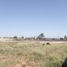  Terreno (Parcela) en venta en Aquiles Serdan, Chihuahua, Aquiles Serdan, Chihuahua