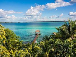 1 Habitación Departamento en venta en Othon P Blanco, Quintana Roo, Othon P Blanco