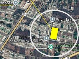  Grundstück zu verkaufen in Yaxkukul, Yucatan, Yaxkukul