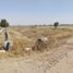  Terreno (Parcela) en venta en México, Zumpango, México
