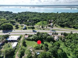  Terreno (Parcela) en venta en Othon P Blanco, Quintana Roo, Othon P Blanco