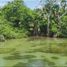  Terreno (Parcela) en venta en Othon P Blanco, Quintana Roo, Othon P Blanco