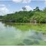  Terreno (Parcela) en venta en Othon P Blanco, Quintana Roo, Othon P Blanco