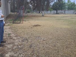  Grundstück zu verkaufen in Naucalpan De Juarez, Mexico, Naucalpan De Juarez