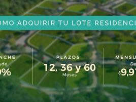  Terreno (Parcela) en venta en Othon P Blanco, Quintana Roo, Othon P Blanco