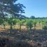 Studio Villa for sale in Dzilam Gonzalez, Yucatan, Dzilam Gonzalez