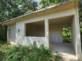  Grundstück zu verkaufen in Othon P Blanco, Quintana Roo, Othon P Blanco