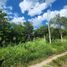  Grundstück zu verkaufen in Othon P Blanco, Quintana Roo, Othon P Blanco