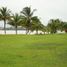  Terreno (Parcela) en venta en Tuxpan, Veracruz, Tuxpan, Veracruz