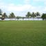 Terreno (Parcela) en venta en Tuxpan, Veracruz, Tuxpan, Veracruz