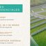  Grundstück zu verkaufen in Othon P Blanco, Quintana Roo, Othon P Blanco