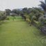  Land for sale in Temixco, Morelos, Temixco