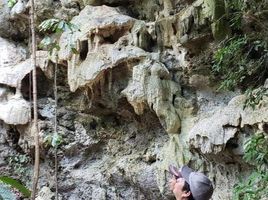  Terreno (Parcela) en venta en Valladolid, Yucatán, Valladolid