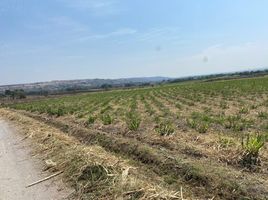  Land for sale in Amacuzac, Morelos, Amacuzac