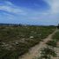 Terrain à vendre à Othon P Blanco, Quintana Roo, Othon P Blanco