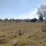  Land for sale in Xaltocan, Tlaxcala, Xaltocan
