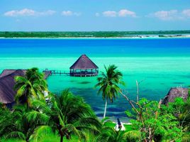 2 Habitación Departamento en venta en Othon P Blanco, Quintana Roo, Othon P Blanco
