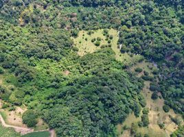  Terreno (Parcela) en venta en Xico, Veracruz, Xico