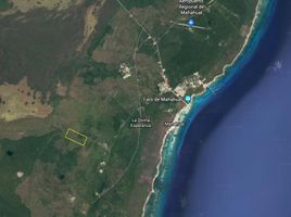  Grundstück zu verkaufen in Othon P Blanco, Quintana Roo, Othon P Blanco