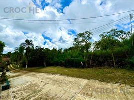  Terreno (Parcela) en venta en Coatepec, Veracruz, Coatepec