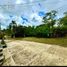  Terreno (Parcela) en venta en Coatepec, Veracruz, Coatepec