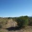 Terrain à vendre à Villa De Reyes, San Luis Potosi, Villa De Reyes