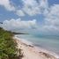  Grundstück zu verkaufen in Othon P Blanco, Quintana Roo, Othon P Blanco