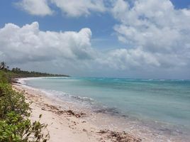  Grundstück zu verkaufen in Othon P Blanco, Quintana Roo, Othon P Blanco