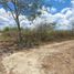  Terreno (Parcela) en venta en Yucatán, Chichimila, Yucatán