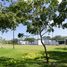  Terreno (Parcela) en venta en Yucatán, Merida, Yucatán