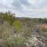  Land for sale in Carmen, Nuevo Leon, Carmen, Nuevo Leon
