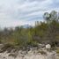  Land for sale in Carmen, Nuevo Leon, Carmen, Nuevo Leon