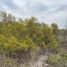  Land for sale in Carmen, Nuevo Leon, Carmen, Nuevo Leon