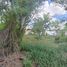  Land for sale in Reynosa, Tamaulipas, Reynosa