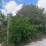  Land for sale in Reynosa, Tamaulipas, Reynosa