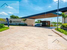  Terreno (Parcela) en venta en Conkal, Yucatán, Conkal, Yucatán