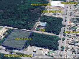  Grundstück zu verkaufen in Othon P Blanco, Quintana Roo, Othon P Blanco